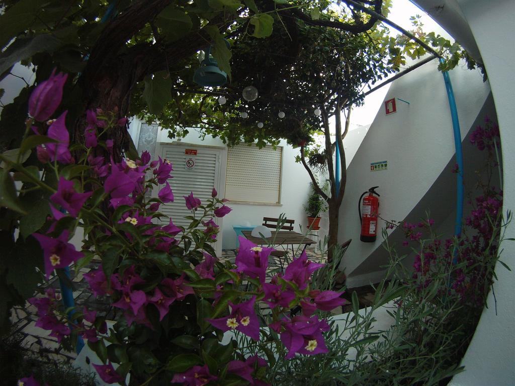 Ahoy Porto Covo Hostel Bagian luar foto